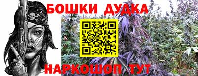 spice Абакан