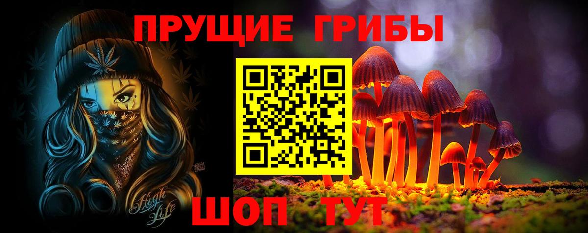 Алексин  Псилоцибиновые грибы Magic Shrooms  Псилоцибиновые грибы Cubensis  Вход с VPN 